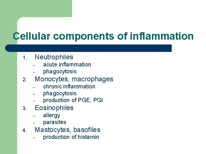 Cellular components of inflammation 1. Neutrophiles – – 2. Monocytes, macrophages – – – Cellular components of inflammation 1. Neutrophiles – – 2. Monocytes, macrophages – – –