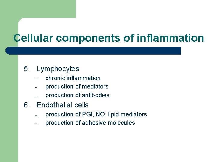 Cellular components of inflammation 5. Lymphocytes – – – chronic inflammation production of mediators