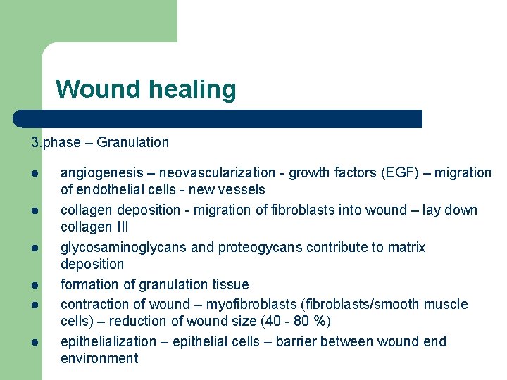 Wound healing 3. phase – Granulation l l l angiogenesis – neovascularization - growth