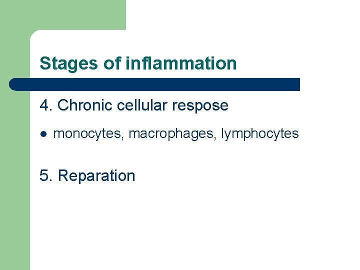 Stages of inflammation 4. Chronic cellular respose l monocytes, macrophages, lymphocytes 5. Reparation Stages of inflammation 4. Chronic cellular respose l monocytes, macrophages, lymphocytes 5. Reparation