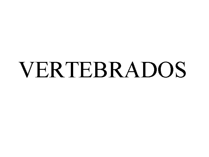 VERTEBRADOS 