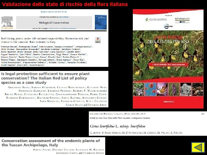 Valutazione dello stato di rischio della flora italiana 