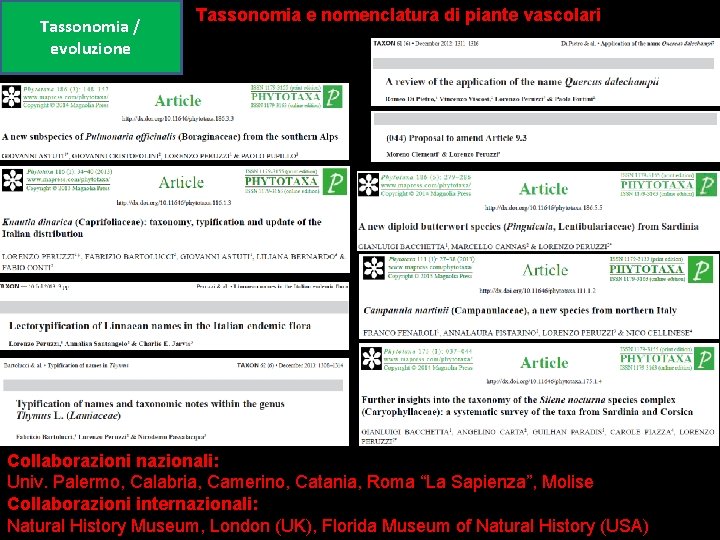 Tassonomia / evoluzione Tassonomia e nomenclatura di piante vascolari Collaborazioni nazionali: Univ. Palermo, Calabria,