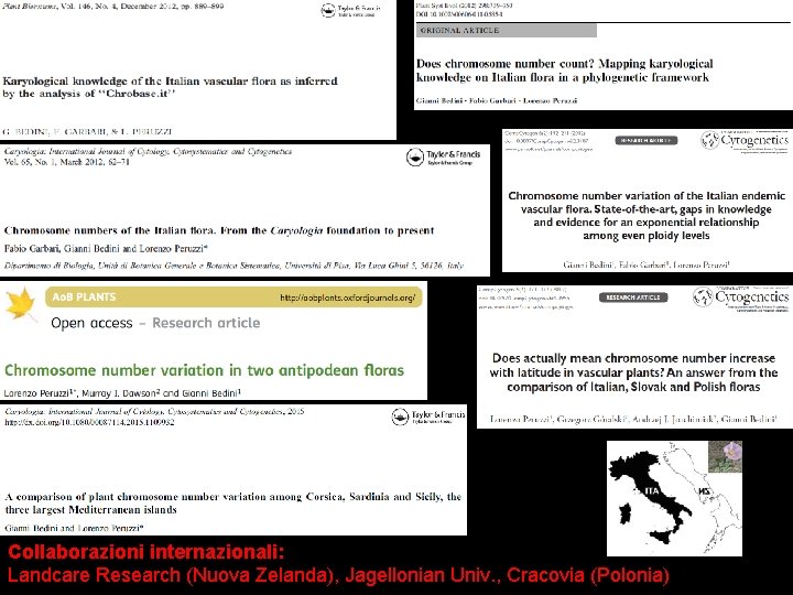 Collaborazioni internazionali: Landcare Research (Nuova Zelanda), Jagellonian Univ. , Cracovia (Polonia) 