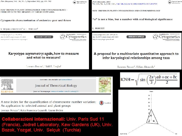 Collaborazioni internazionali: Univ. Paris Sud 11 (Francia), Jodrell Laboratory, Kew Gardens (UK), Univ. Bozok,