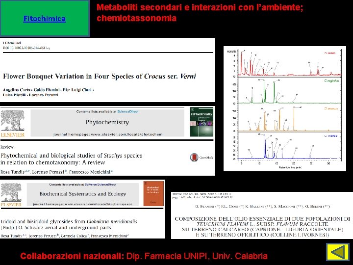 Fitochimica Metaboliti secondari e interazioni con l’ambiente; chemiotassonomia Collaborazioni nazionali: Dip. Farmacia UNIPI, Univ.