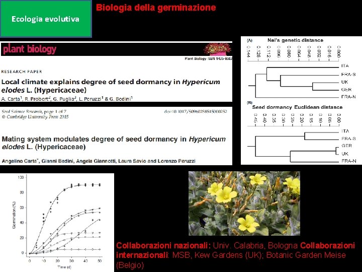 Biologia della germinazione Ecologia evolutiva Collaborazioni nazionali: Univ. Calabria, Bologna Collaborazioni internazionali: MSB, Kew