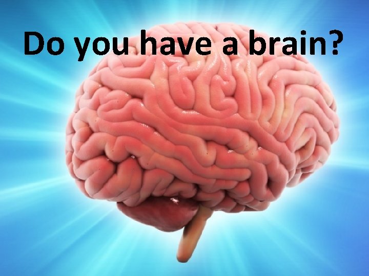 Do you have a brain? 