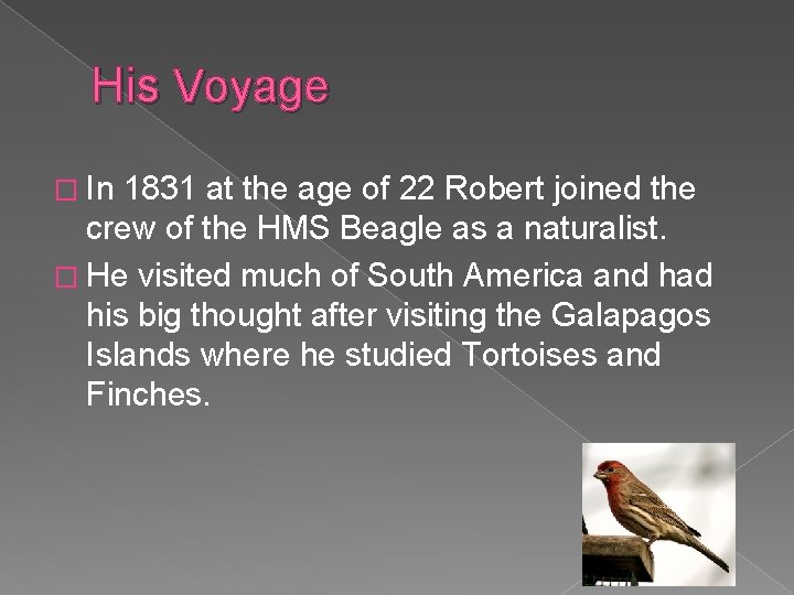 His Voyage � In 1831 at the age of 22 Robert joined the crew