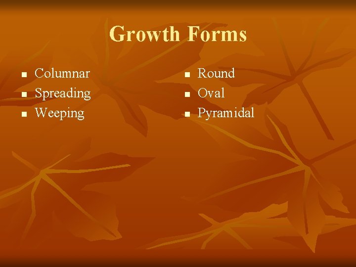 Growth Forms n n n Columnar Spreading Weeping n n n Round Oval Pyramidal
