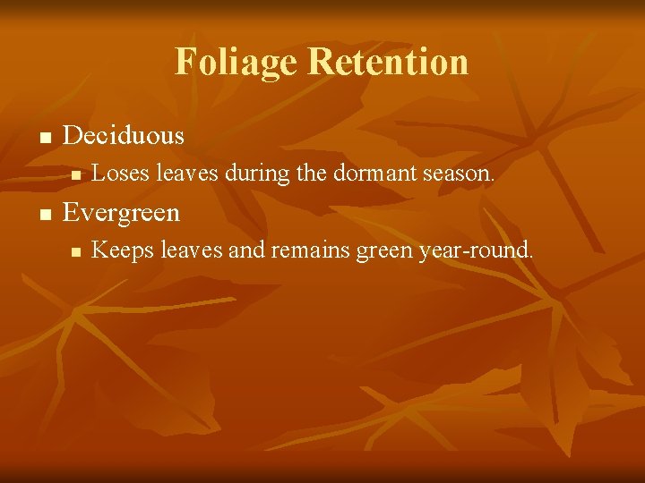 Foliage Retention n Deciduous n n Loses leaves during the dormant season. Evergreen n