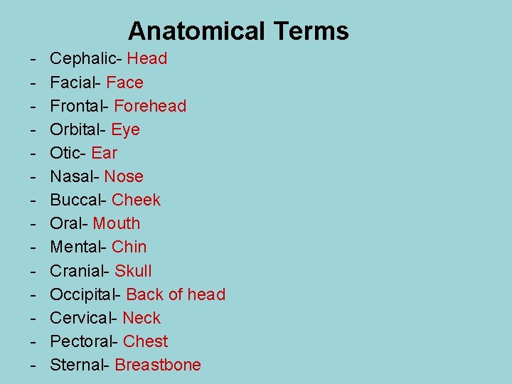 Anatomical Terms - Cephalic- Head Facial- Face Frontal- Forehead Orbital- Eye Otic- Ear Nasal-