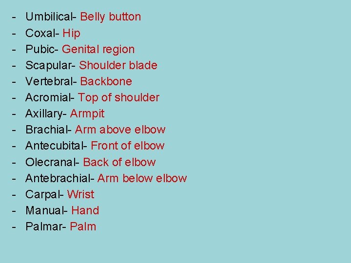 - Umbilical- Belly button Coxal- Hip Pubic- Genital region Scapular- Shoulder blade Vertebral- Backbone