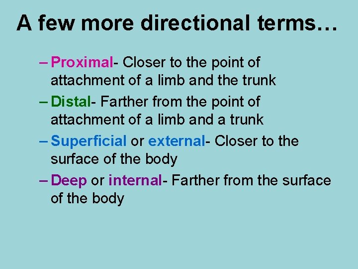 A few more directional terms… – Proximal- Closer to the point of attachment of