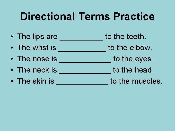 Directional Terms Practice • • • The lips are _____ to the teeth. The