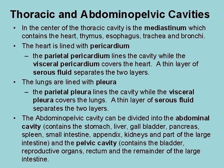 Thoracic and Abdominopelvic Cavities • In the center of the thoracic cavity is the