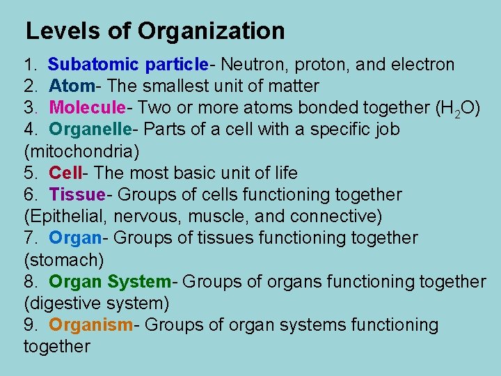 Levels of Organization 1. Subatomic particle- Neutron, proton, and electron 2. Atom- The smallest