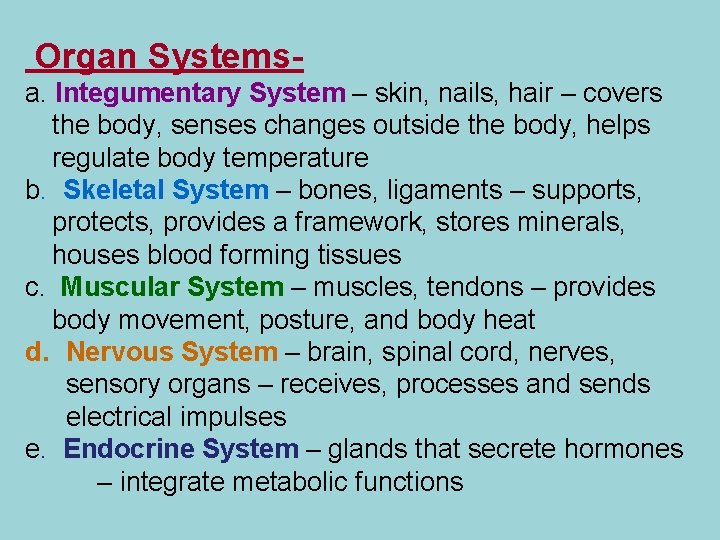 Organ Systemsa. Integumentary System – skin, nails, hair – covers the body, senses changes