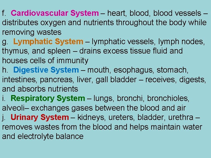 f. Cardiovascular System – heart, blood vessels – distributes oxygen and nutrients throughout the