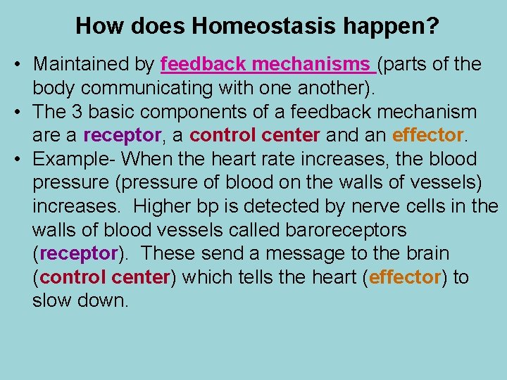 How does Homeostasis happen? • Maintained by feedback mechanisms (parts of the body communicating