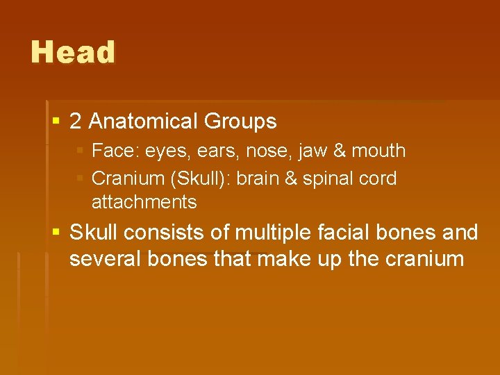Head § 2 Anatomical Groups § Face: eyes, ears, nose, jaw & mouth §