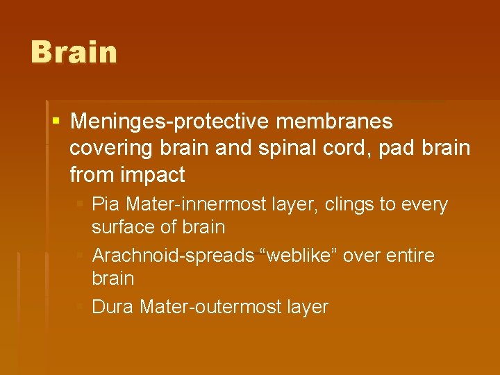 Brain § Meninges-protective membranes covering brain and spinal cord, pad brain from impact §