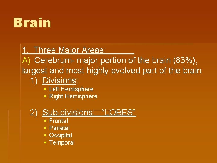 Brain 1. Three Major Areas: A) Cerebrum- major portion of the brain (83%), largest