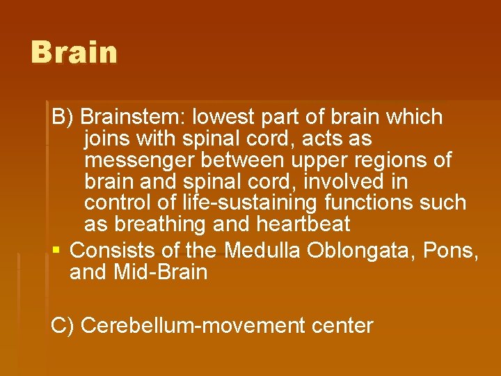 Brain B) Brainstem: lowest part of brain which joins with spinal cord, acts as