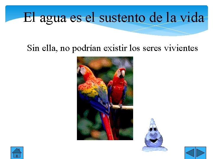 El agua es el sustento de la vida Sin ella, no podrían existir los