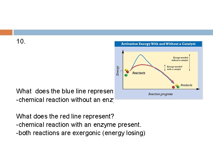 10. What does the blue line represent? -chemical reaction without an enzyme What does