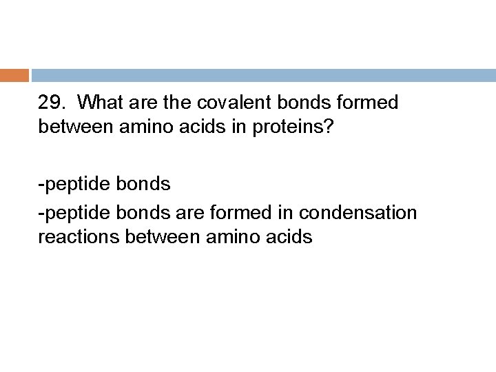 29. What are the covalent bonds formed between amino acids in proteins? -peptide bonds