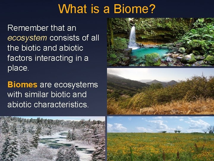What is a Biome? Remember that an ecosystem consists of all the biotic and