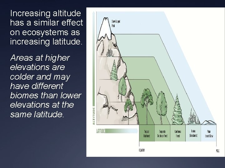 Increasing altitude has a similar effect on ecosystems as increasing latitude. Areas at higher