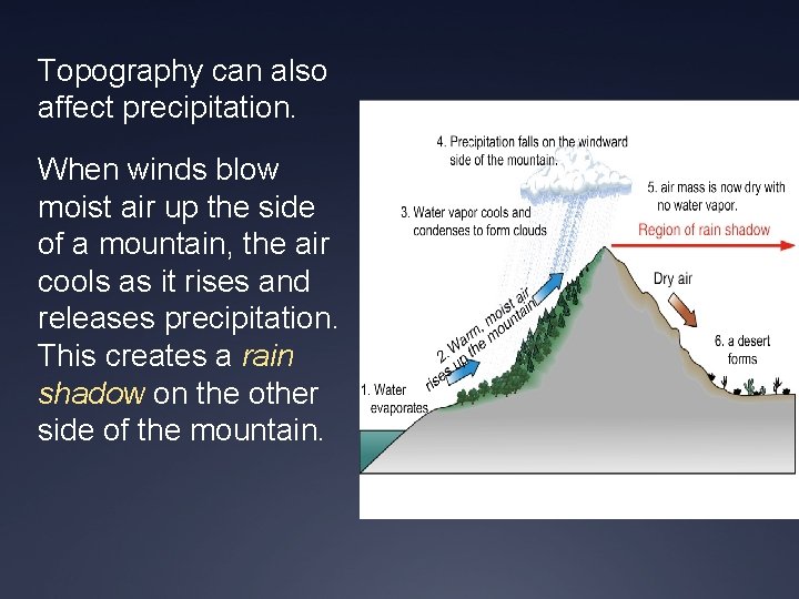 Topography can also affect precipitation. When winds blow moist air up the side of