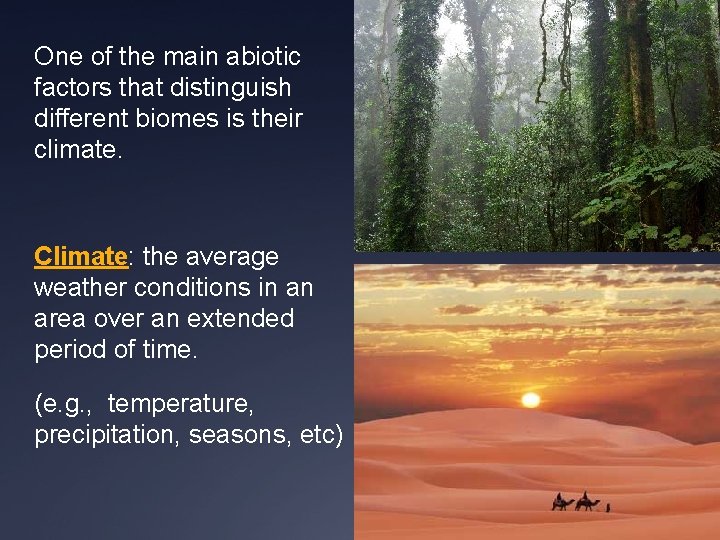 One of the main abiotic factors that distinguish different biomes is their climate. Climate: