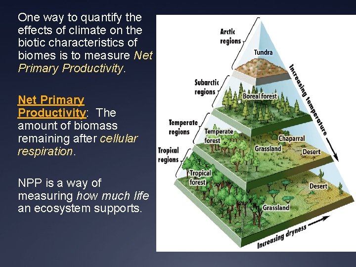 One way to quantify the effects of climate on the biotic characteristics of biomes