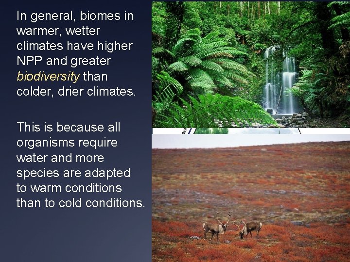 In general, biomes in warmer, wetter climates have higher NPP and greater biodiversity than