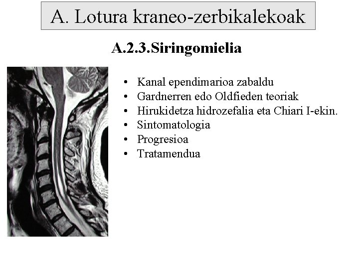 A. Lotura kraneo-zerbikalekoak A. 2. 3. Siringomielia • • • Kanal ependimarioa zabaldu Gardnerren