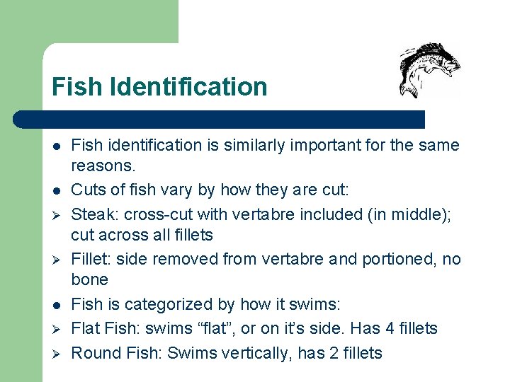 Fish Identification l l Ø Ø Fish identification is similarly important for the same