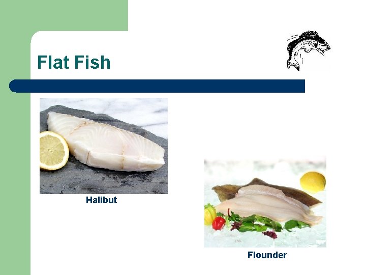 Flat Fish Halibut Flounder 