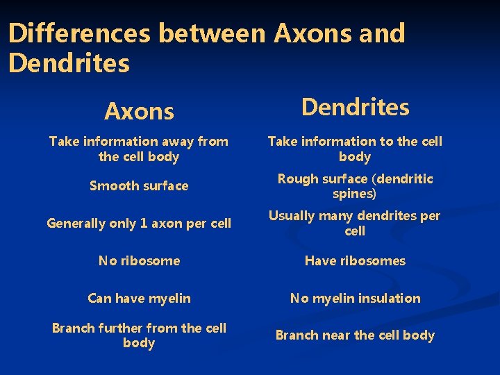 Differences between Axons and Dendrites Axons Dendrites Take information away from the cell body