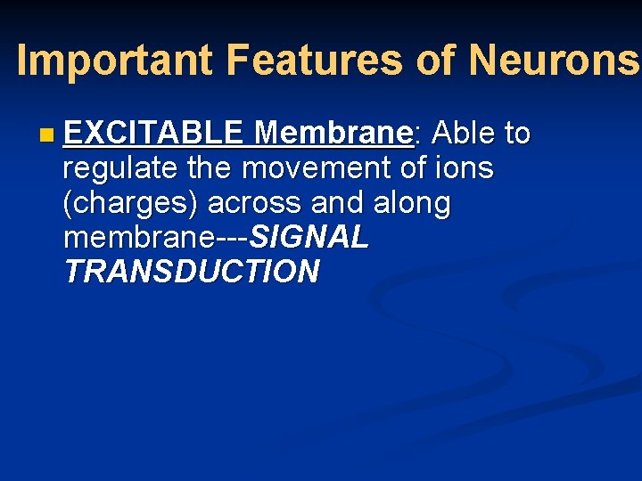 Important Features of Neurons n EXCITABLE Membrane: Able to regulate the movement of ions