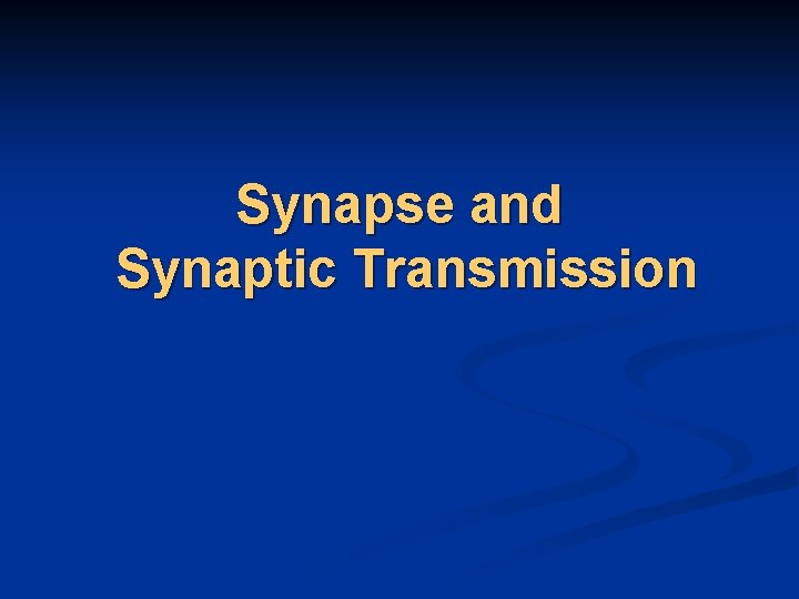 Synapse and Synaptic Transmission 