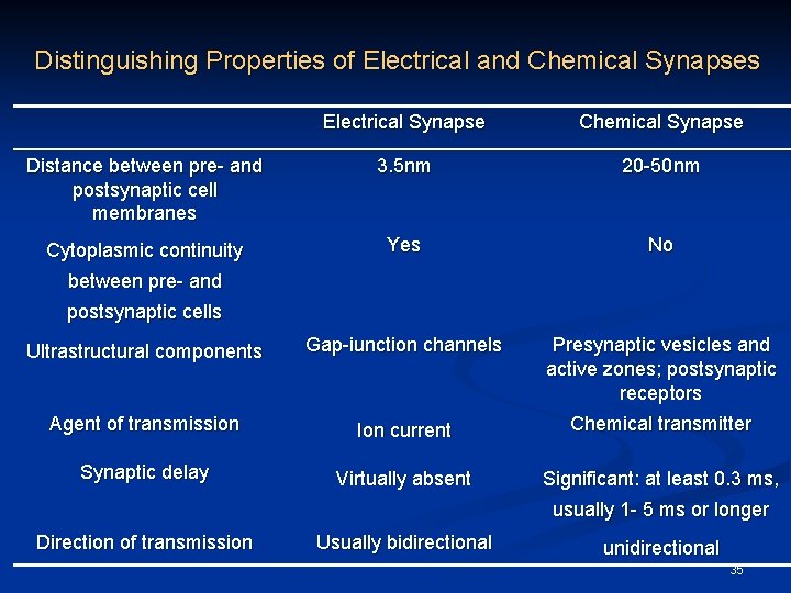 Distinguishing Properties of Electrical and Chemical Synapses Electrical Synapse Chemical Synapse Distance between pre-