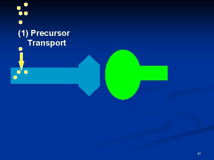 (1) Precursor Transport 41 
