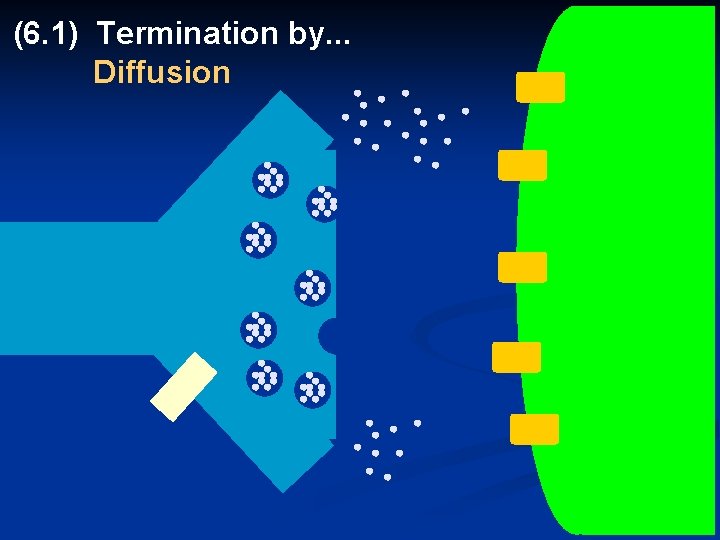 (6. 1) Termination by. . . Diffusion 50 