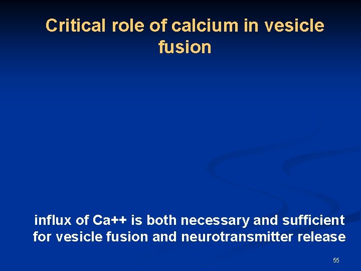 Critical role of calcium in vesicle fusion influx of Ca++ is both necessary and