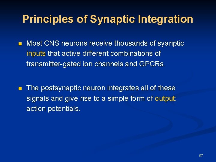 Principles of Synaptic Integration n Most CNS neurons receive thousands of syanptic inputs that