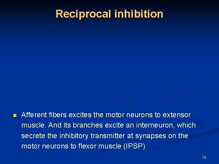 Reciprocal inhibition n Afferent fibers excites the motor neurons to extensor muscle. And its