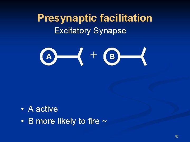 Presynaptic facilitation Excitatory Synapse A + B • A active • B more likely